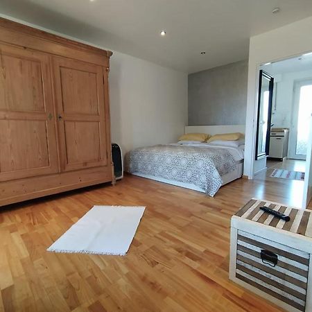 Gl Single Town Apartment Wiesbaden Esterno foto